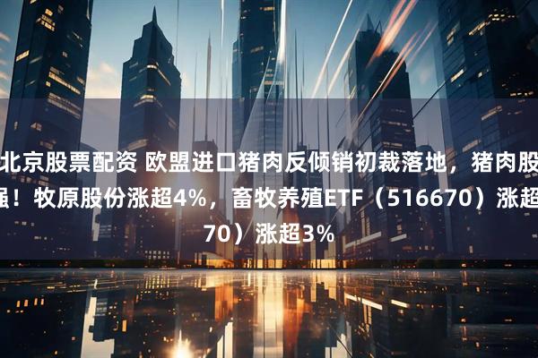 北京股票配资 欧盟进口猪肉反倾销初裁落地，猪肉股走强！牧原股份涨超4%，畜牧养殖ETF（516670）涨超3%